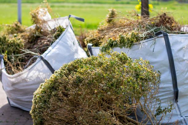 Best Yard Cleanup Services  in Hartley, IA